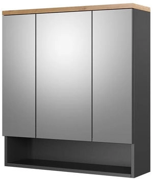 VICCO Badspiegelschrank, Anthrazit, Anthrazit, 10 F&auml;cher, Rechteckig, 70x77.5x21.7 cm (800000712093)