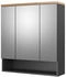 VICCO Badspiegelschrank, Anthrazit, Anthrazit, 10 Fächer, Rechteckig, 70x77.5x21.7 cm (800000712093)