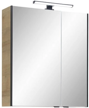 XORA Spiegelschrank 395, Metall, 2 Fächer, 60x70x20 cm (1977036402)