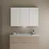 Burgbad Eqio Spiegelschrank SPGT120 800x1200x170 Lichtgrau Matt (SPGT120LF6583)