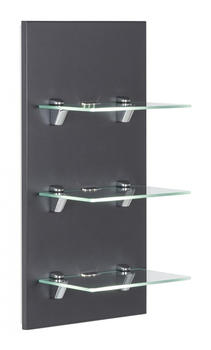 Emotion LED-Panel SANTINI anthrazit seidenglanz mit 3 Glasablagen (SANTINILED000104)