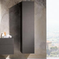 Geberit Xeno2 Hochschrank mit einer T&uuml;r und Innenspiegel 500.503.00.1, Badm&ouml;bel,