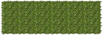 vidaXL Balkonsichtschutz mit Bl&auml;ttern, gr&uuml;n/gelb, 300x100cm (42040673)