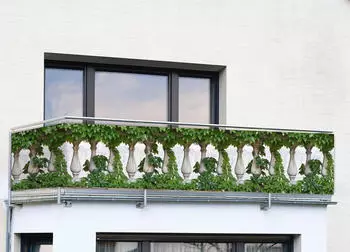 Maximex Balkon-Sichtschutz naturfrohem Efeu-Motiv 5 m