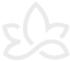Bort Stacksche Schiene transparent