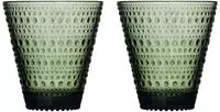 Iittala Glas 2er-Set Kastehelmi tannengr&uuml;n