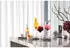 Villeroy & Boch Manufacture Rock Longdrinkglas 30 cl 4er Pack Clear