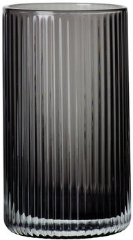 ASA ASA Juna Wasserglas Grau 280 ml
