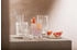 Schott-Zwiesel Schott Zwiesel Allround Glas Fave 4er Set