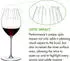 Riedel Performance Syrah/Shirazglas, 2 Stück (6884/41)