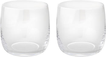 Stelton Foster Wasserglas 200 ml klar 2er Set