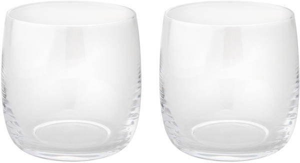 Stelton Foster Wasserglas 200 ml klar 2er Set