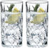 Riedel Tumbler Collection Spey Longdrink
