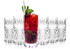 RCR 26277020006 Oasis Cocktail-und Wassergläser aus Kristall 360 ml 6er-Set