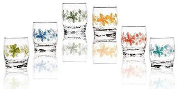 Sendez 6 Trinkgläser 250ml Blumen-Aufdruck Wassergläser Saftgläser Whiskygläser Gläser