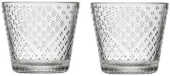iittala Tundra Glas 29 cl, 2-er Set Klar