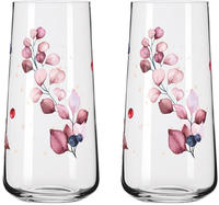 Ritzenhoff 6241001, RITZENHOFF Universalglas SOMMERSONETT Set mit 2 St&uuml;ck Inhalt je