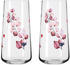 Ritzenhoff Sommersonett Universal Gläser-Set, 2-tlg.