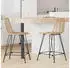 vidaXL Barhocker Rattan & Eisen, Natur, 2er-Set