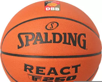 Spalding React TF-250 DBB 5