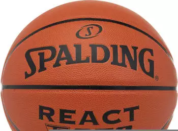 Spalding React TF-250 5