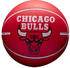 Wilson NBA Team Dribbler Chicago Bulls