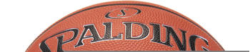 Spalding Silver Series Rubber 5
