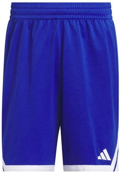 Adidas 3G Speed Reversible Basketball AEROREADY Shorts Royal Blue / White (JM5106)