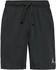 Nike Sport Dri-FIT Mesh-Shorts Herren (FN5816)