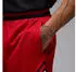 Nike Jordan Sport Dri-FIT Diamond Mesh-Shorts Herren (HF9910) gym red/white