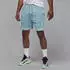 Nike Jordan Sport Dri-FIT Diamond Mesh-Shorts Herren (HF9910) aviator grey/light silver/light sil