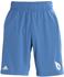 Adidas Never Doubt Shorts trace royal