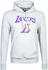 New Era LA Lakers Hoodie grey (11530758)