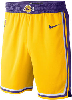 Nike Los Angeles Lakers Icon Edition Shorts 2020/21