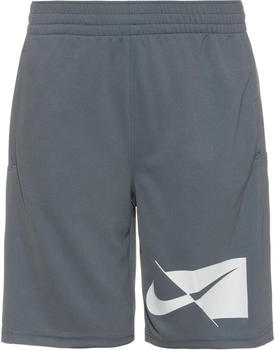 Nike Dri-FIT Shorts Kinder (CU8959) smoke grey/white