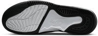 Nike Jordan Max Aura 5 (DZ4353) black/white/wolf grey/metallic gold