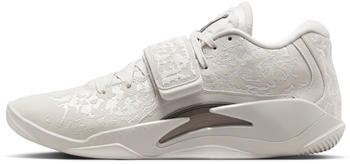 Nike Zion 3 SE Basketballschuh grau