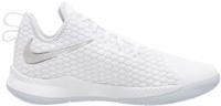 Nike LeBron Witness III (AO4433) white/pure platinum/wolf grey/chrome