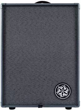 Darkglass Infinity 2x10 Combo