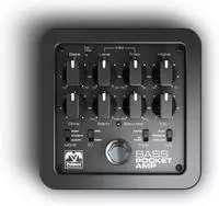 Palmer PEPAMPBASS, Palmer Pocket Amp Bass