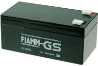 JEWO FIAMM Bleiakku FG20341