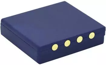 Beltrona Kran-Fernbedienungs-Akku 6V 700mAh (80200402)