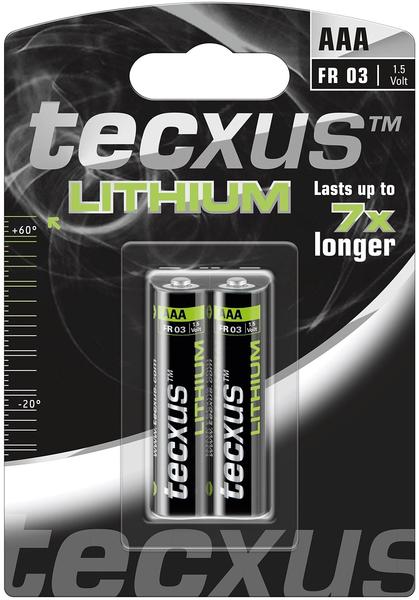 Tecxus Micro AAA Lithium (2 St.)