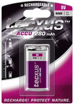 Tecxus E-Block NiMH Batterie 9V 280 mAh