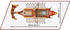 Cobi Roman Warship (20071)