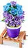 ZURU Max Premium Garden Collection, sortiert
