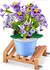 ZURU Max Premium Garden Collection, sortiert