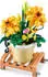 ZURU Max Premium Garden Collection, sortiert