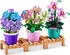 ZURU Max Premium Garden Collection, sortiert