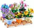 ZURU Max Premium Garden Collection, sortiert
